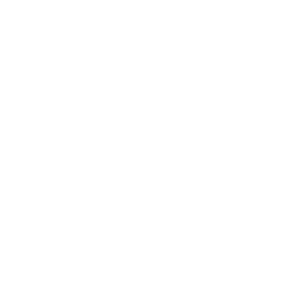 Path to productivity and employee wellbeing